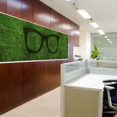 bespoke preserved moss wall